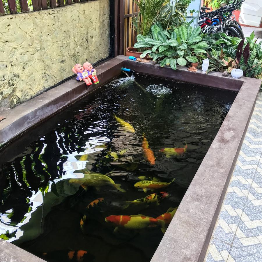 Vanvisa Guesthouse Luang Prabang Eksteriør bilde