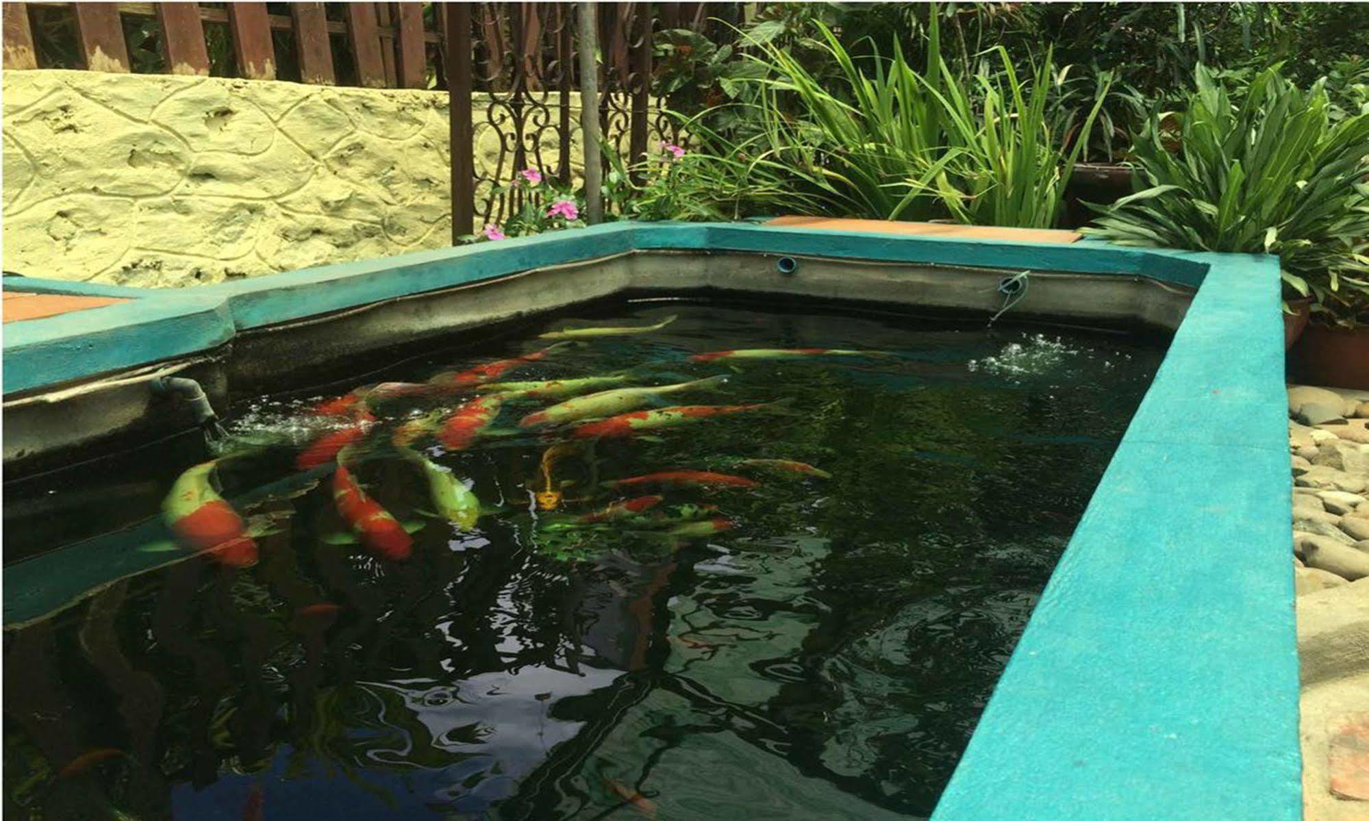 Vanvisa Guesthouse Luang Prabang Eksteriør bilde